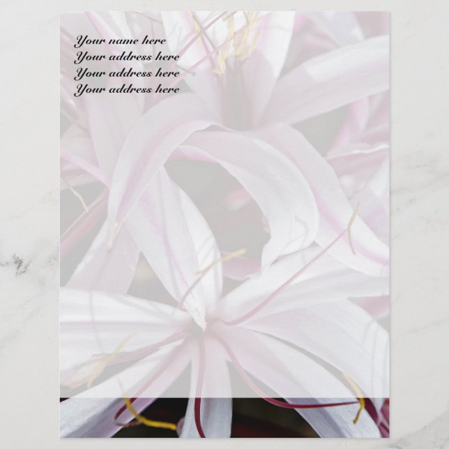 Membrete Lilies Letterhead Design (Anverso)