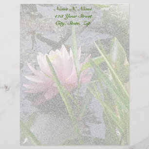Membrete Lirio de agua rosa Letterhead