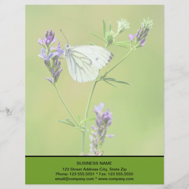 Membrete Mariposa blanca veteada verde (Anverso)
