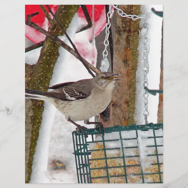 Membrete Mockingbird (Anverso)