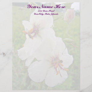 Membrete Moth Mullein Wildflower Letterhead