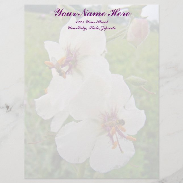 Membrete Moth Mullein Wildflower Letterhead (Anverso)