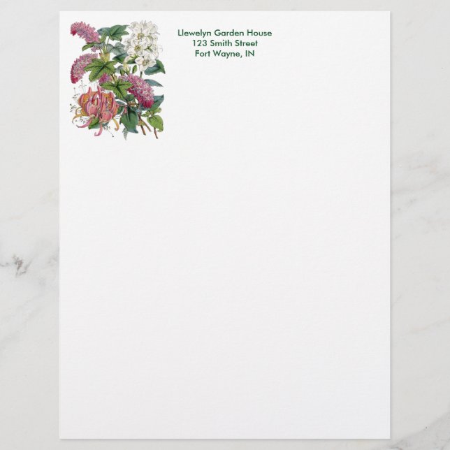 Membrete Página botánica del vintage (Anverso)