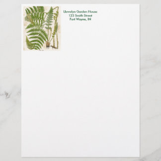 Membrete Página Botánica Vintage - Fern