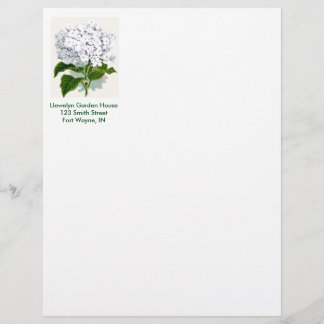 Membrete Página Botánica Vintage - Hidrangea Blanca