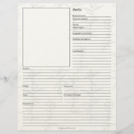 Membrete Página en blanco del estudio de hierbas de la plan