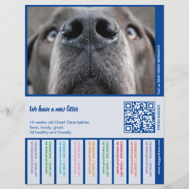 Membrete Para vender Dane Puppies colorido