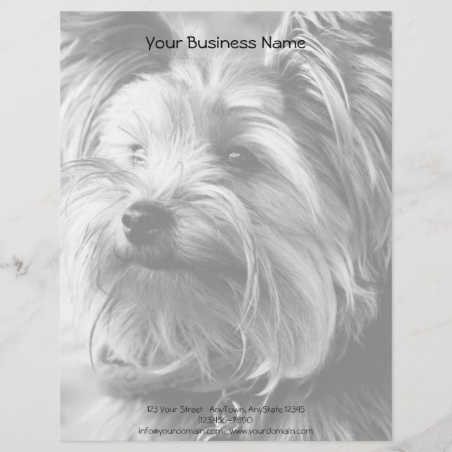 Membrete Retrato blanco y negro de Yorkshire Terrier Yorkie (Anverso)