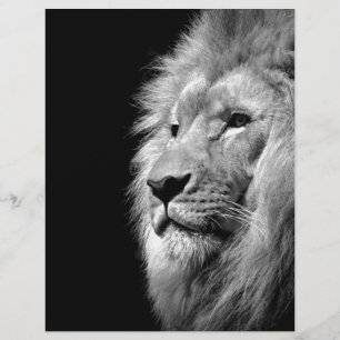 Membrete Retrato de León Blanco Negro - Fotografía animal