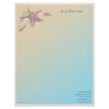 Seashells en una playa