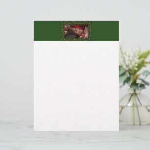 Membrete SlipperyJoe torso macho 6 paquete estomacal torso 