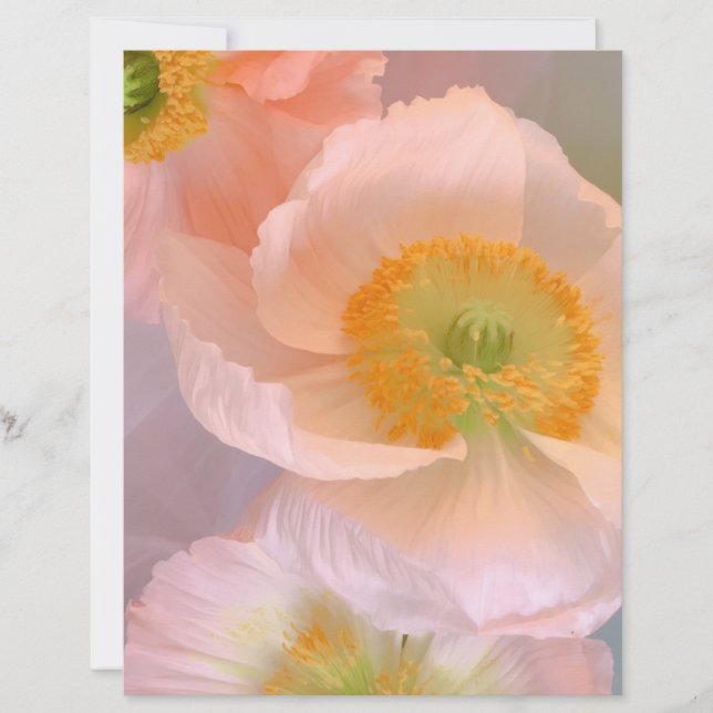 Membrete Soñador (Anverso)