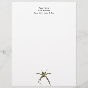 Membrete Spider