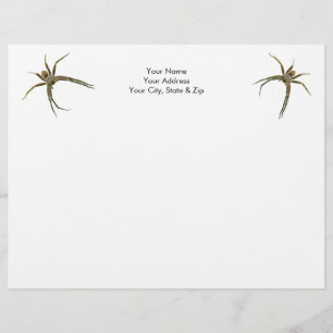 Membrete Spider