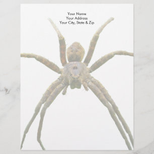Membrete Spider