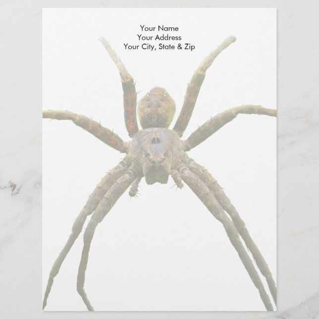 Membrete Spider (Anverso)