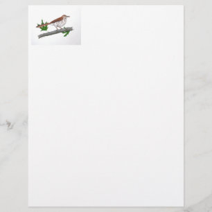 Membrete Stationery Brown Thrasher