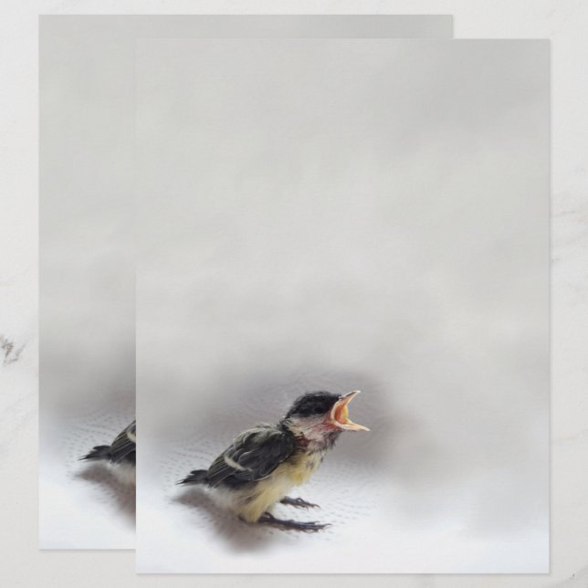 Membrete Tidi my Bird the Parus Major (Anverso / Reverso)