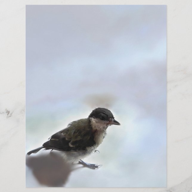 Membrete Tidi my Bird the Parus Major (Anverso)