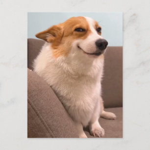 Meme de Corgi sonriente de postal