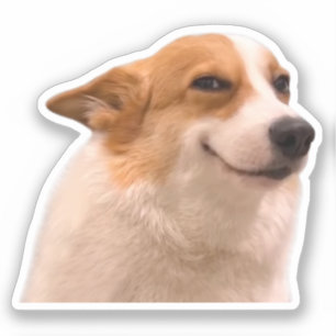 Meme de Corgi Sonriente pegatina