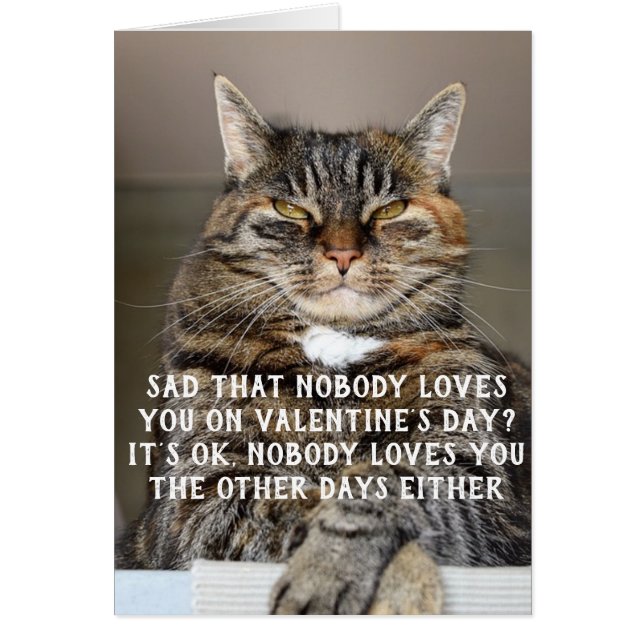 Meme de El día de San Valentín de gato divertido (Frente)