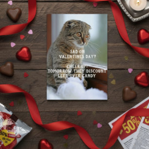 Meme de El día de San Valentín de gato divertido ú