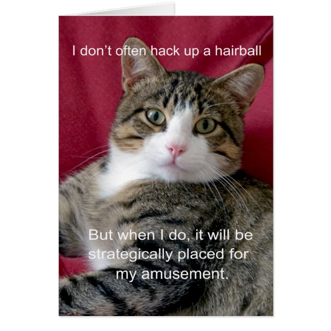 Meme de gato (Frente)