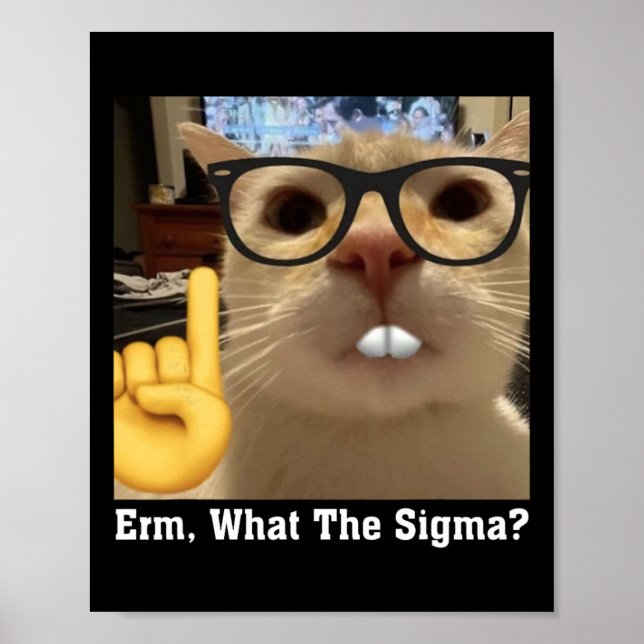 Meme De Gato Agradable Arte Cute Kitten Erm (Frente)