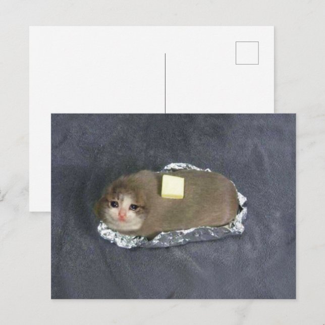 Meme de gato Butta en postal (Anverso / Reverso)