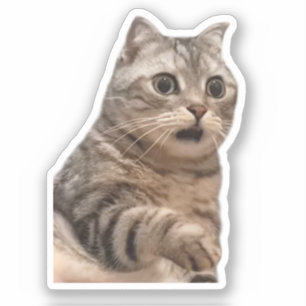 Meme de gato impactado por el pegatina