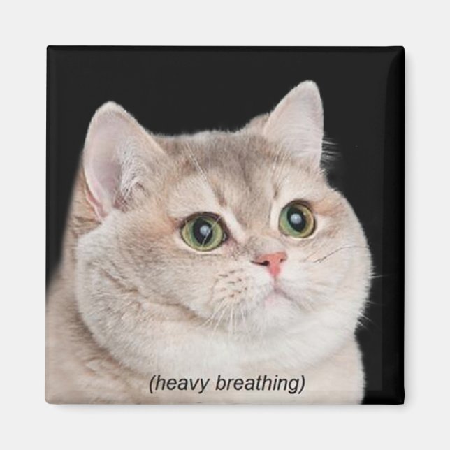 Meme de gato para respirar fuerte en el imán (Frente)