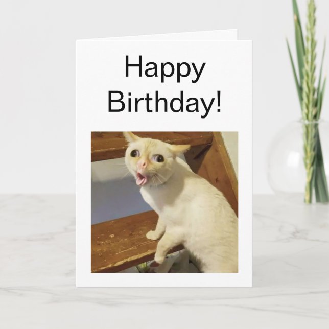 Meme de gato para toser con tarjeta doblada (Anverso)