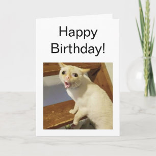 Meme de gato para toser con tarjeta doblada