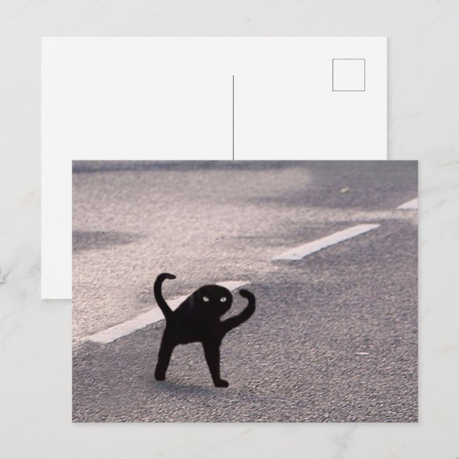 Meme de gatos maldecidos de postal (Anverso / Reverso)