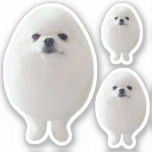 Meme de perro de huevo pegatina