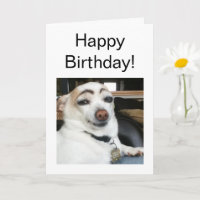 Meme de Perro de la ceja ocular de la tarjeta dobl