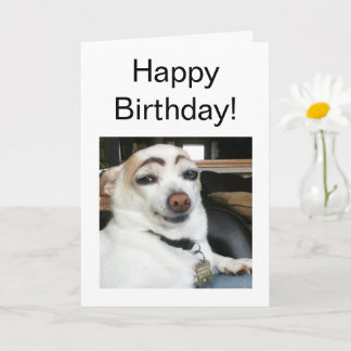 Meme de Perro de la ceja ocular de la tarjeta dobl