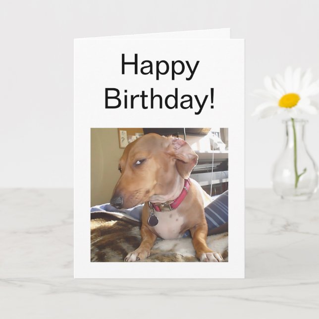 Meme de Perro Ocular del Lado de la Tarjeta plegad (Planta pequeña)