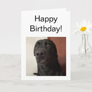 Meme de perros con miedo de tarjeta doblada