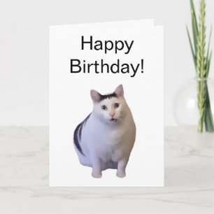 Meme de tarjeta plegada de gato machista