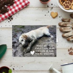 Meme del El día de San Valentín de Cachorros Perro