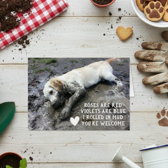 Meme del El día de San Valentín de Cachorros Perro (Subido por el creador)