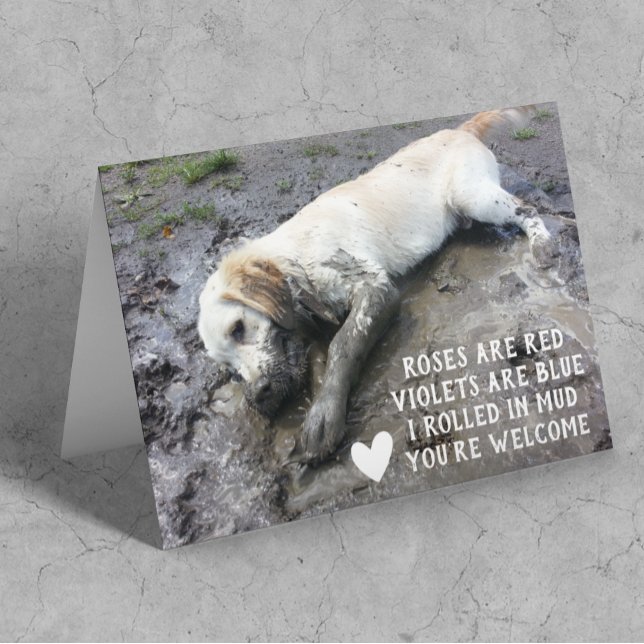 Meme del El día de San Valentín de Cachorros Perro (Subido por el creador)