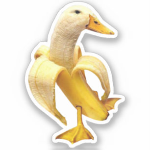 Meme del pato bananero pegatina