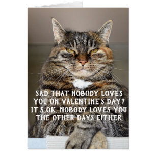 Meme divertido de gato del día de San Valentín