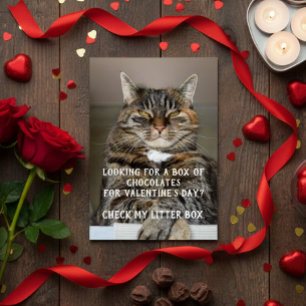 Meme divertido de gato para el Día de San Valentín