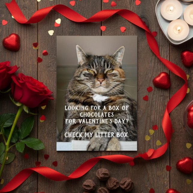 Meme divertido de gato para el Día de San Valentín (Subido por el creador)