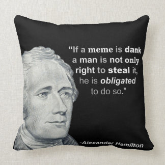 Meme húmedo de Alexander Hamilton - almohada
