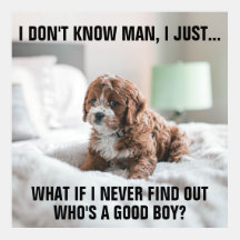 Meme Perrito triste divertido en cama